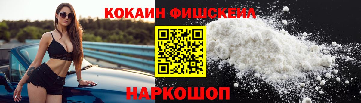 Cocaine Fish Scale  Вход с VPN  Аша 