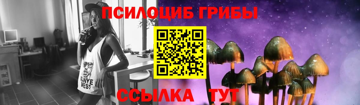 Псилоцибиновые грибы Cubensis Аша